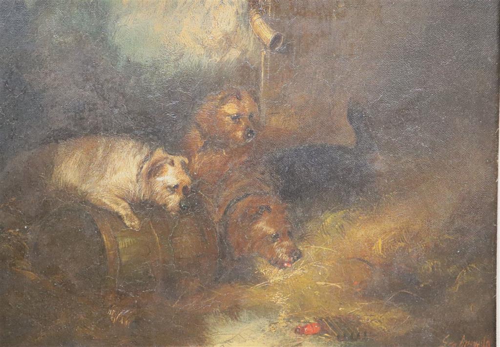 After George Armfield, oil on canvas, Terriers beside a rabbit hole, bears signature, 30 x 40cm